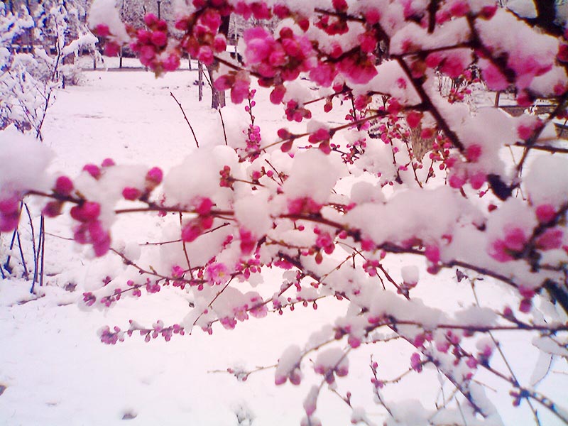 西宁服装定制公司 西宁服装厂